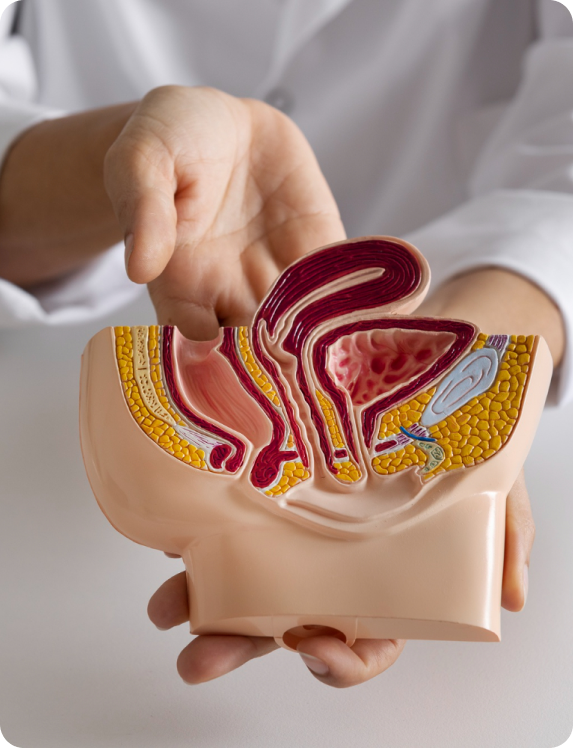 Surgeon in operating theatre